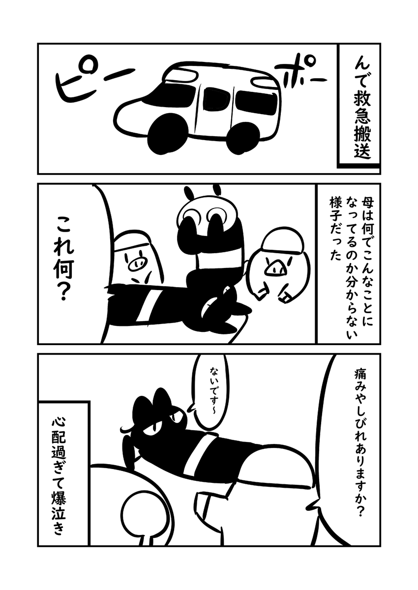 母が記憶をなくした日 4/8 
