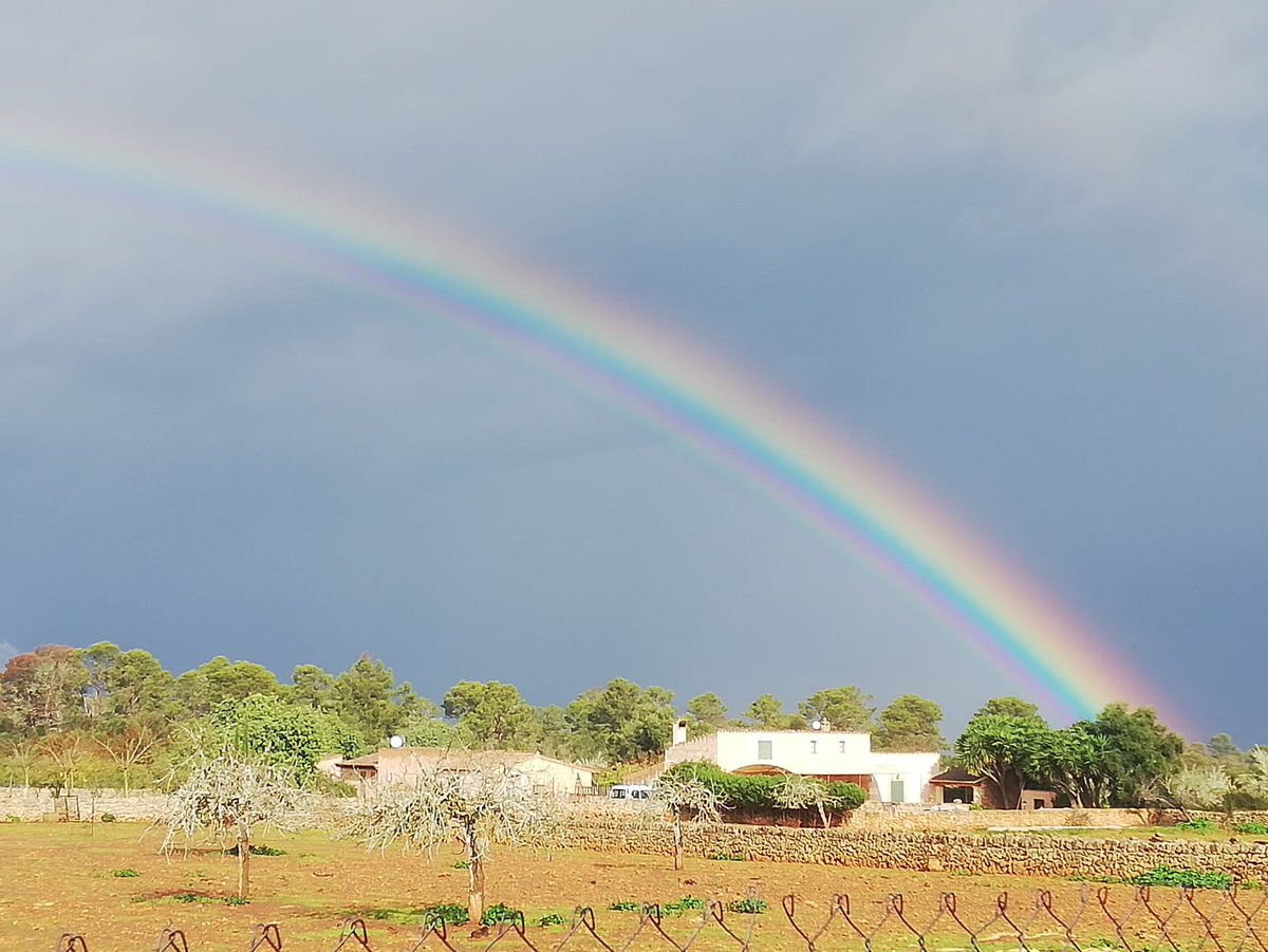 Calabruix1's tweet image. Mallorca és una stendalhització constant.