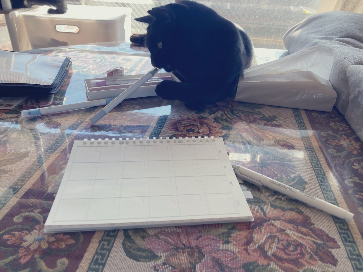 mof_u3u_s2's tweet image. ままが らいげつの

すけじゅーるを さくせい してるのを

おてつだい する ぼく

らいげつの からーは

みずいろと はいいろ🩵🩶

くりすますからー には しないんらって

 #猫好きさんと繋がりたい #猫がいる暮らし #猫がいる幸せ #じじ丸