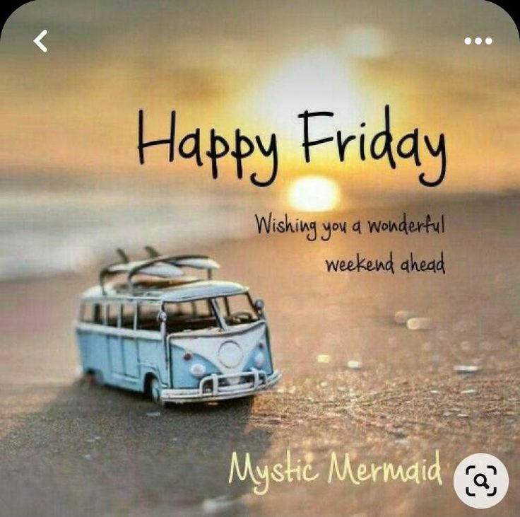 EllenVibescyh's tweet image. 