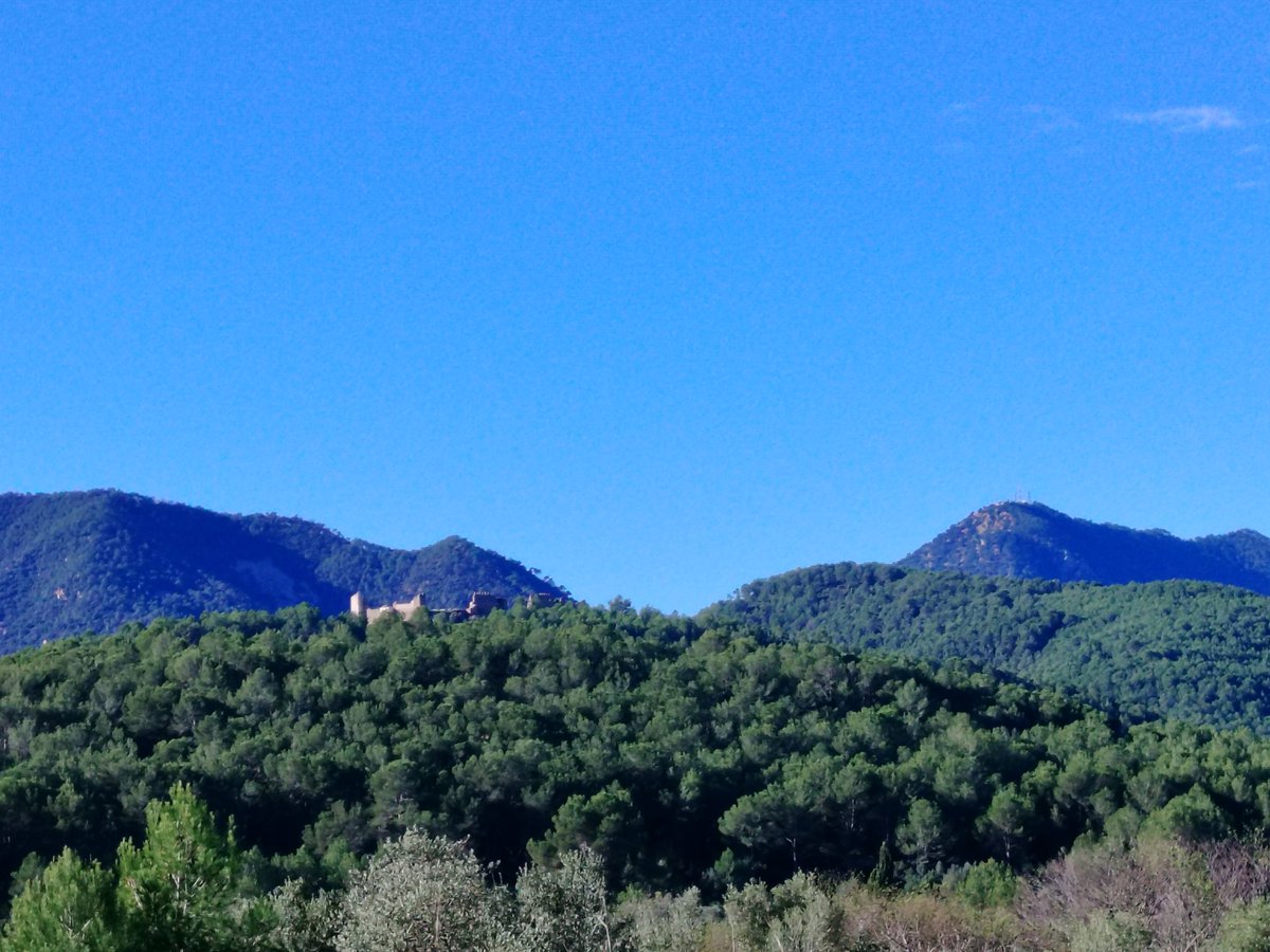 Castell artana i puntal eslida, Temp 10°(sensacio 8°)min 5,8
<a href="/apuntoratge/">À Punt Oratge</a> <a href="/Valencia_WX/">ValènciaWeather⚡️</a> <a href="/meteo_cs/">MeteoCastellón</a> <a href="/Meteo_Borriana/">Meteo Borriana</a> <a href="/MeteoMorella/">Juan Amela</a> <a href="/minervagra/">Minerva GG</a> <a href="/moles_gerard/">Gerard Molés</a> <a href="/ortiz_pat/">Patricio Ortiz (Pat)</a> <a href="/oratgenet/">Oratgenet Jordi Payà</a> <a href="/jcfortea/">Joan Carles Fortea</a> <a href="/tiempobrasero/">Tutiempo</a> <a href="/Tiempo_Valencia/">☈⚡TiempoValència☔❄</a> <a href="/lasextameteo/">La Sexta Meteo</a>