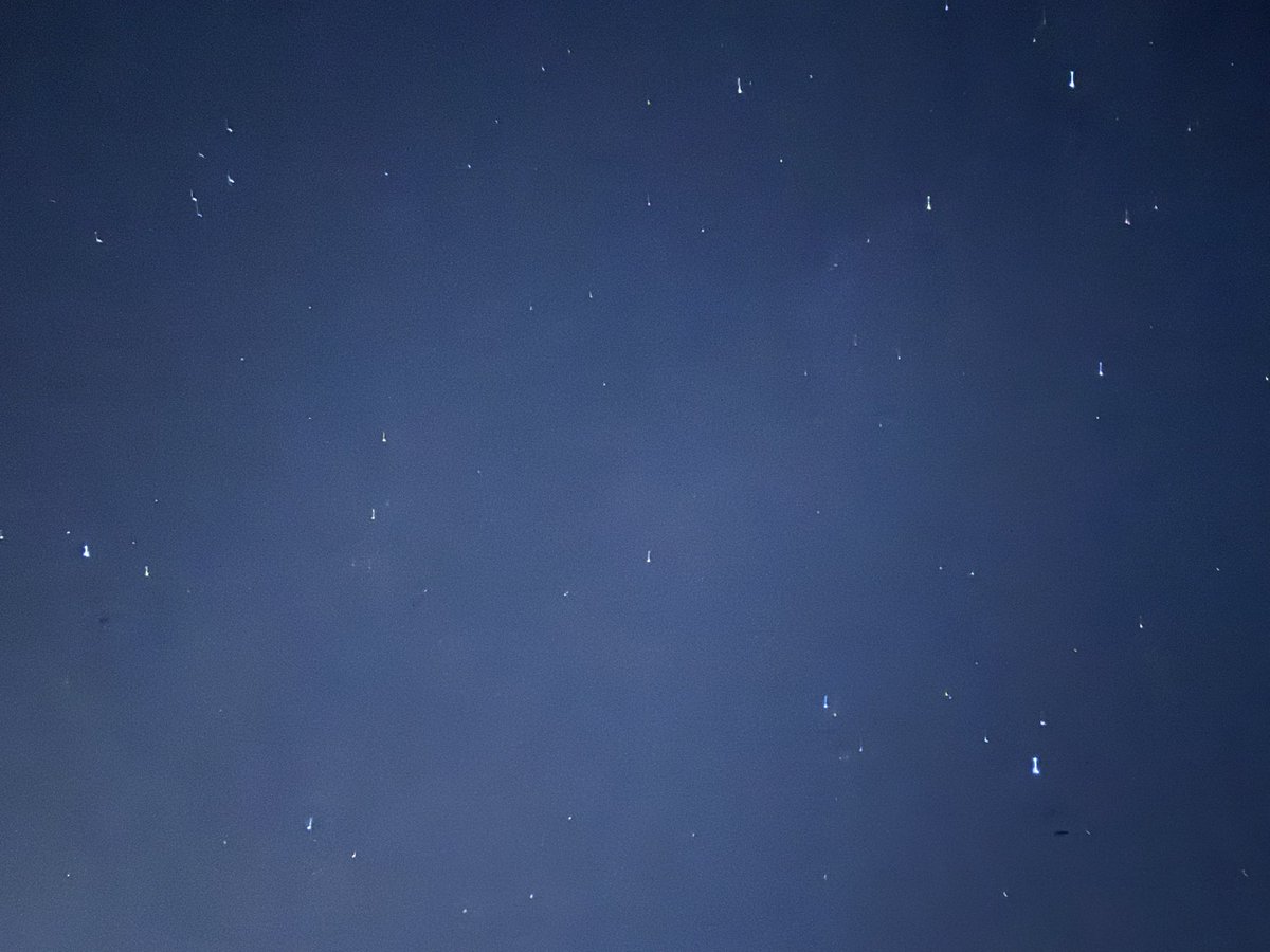 今夜もすっきり星空の夜。
夏の大三角形は、健在です◁
風が吹くと、ひんやり寒い！
#イマソラ
#星空ギャラリーリポート