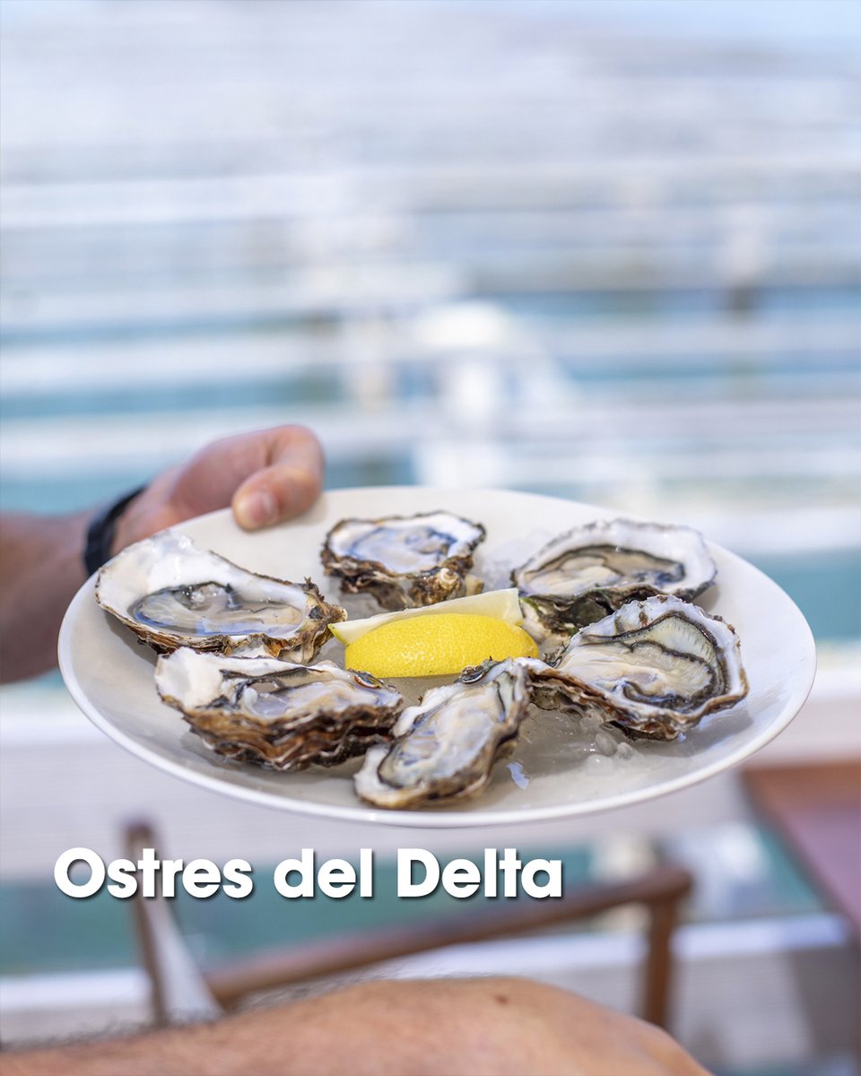 terresebretur's tweet photo. 😍 La diversitat de paisatges de les #TerresdelEbre, entre el riu Ebre, les muntanyes dels Ports i el Delta, fan que la gastronomia sigui d'allò més rica i variada. 

😋 Us proposem, 4⃣ plats o productes, que heu de tastar durant la vostra visita!

#gastronomia @SomGastronomia https://t.co/IyWuQjT7v2