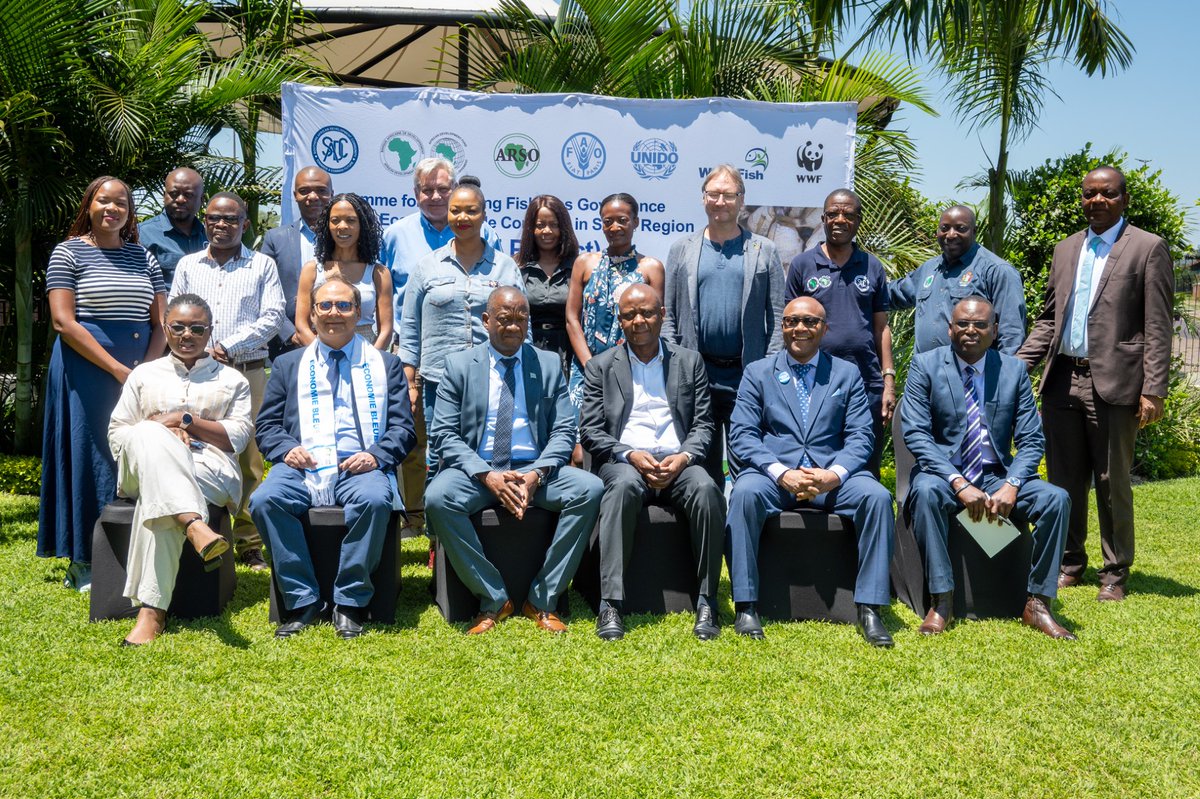 Stop Illegal Fishing tweet media