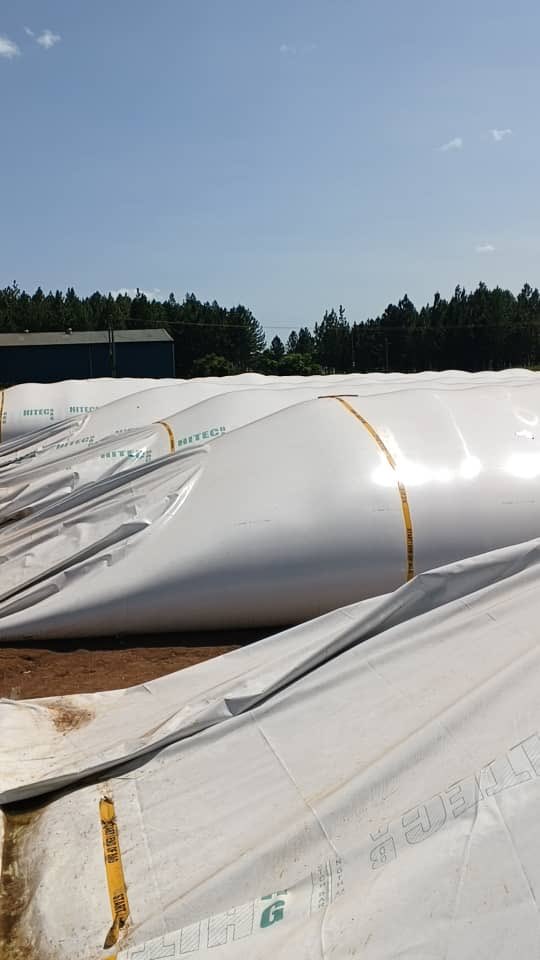 Reigncommodity's tweet image. Storage of soya beans