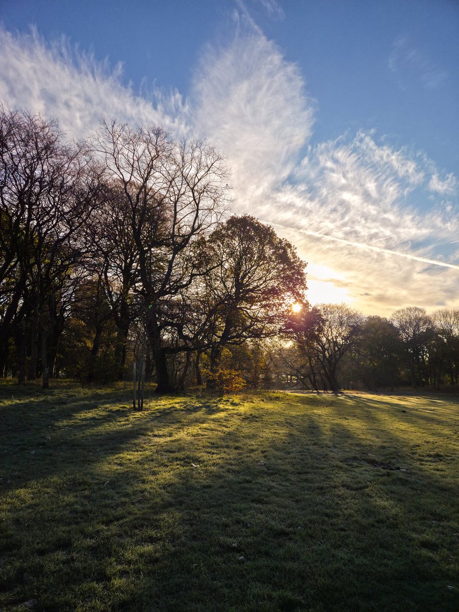jayvaughanphoto's tweet image. Chilly ol&apos;walk with the hounds. 
The cold peaks today, with rain from tomorrow, pity I love these crispy cold days.