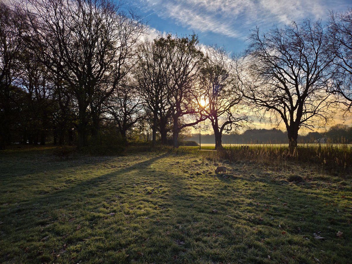 jayvaughanphoto's tweet image. Chilly ol&apos;walk with the hounds. 
The cold peaks today, with rain from tomorrow, pity I love these crispy cold days.