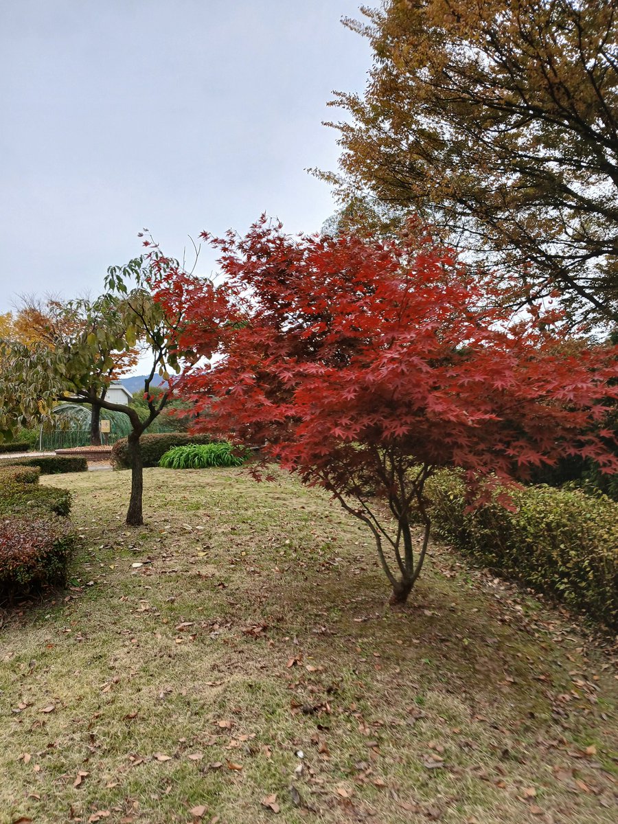 마누라보지손가락새개들어가면개보지야말해줘요놈들아  댓글빨리