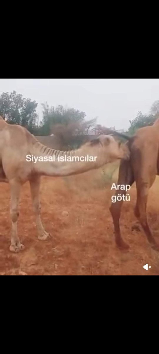 #alperenşengün üzerinden din sömürüsü ile duyar kasanların ortak noktası ekte ki resimdedir