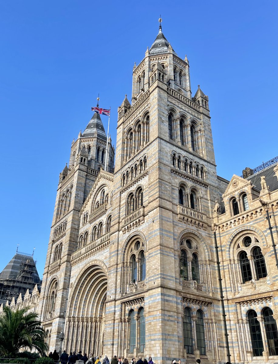 Biddenham Int School tweet media