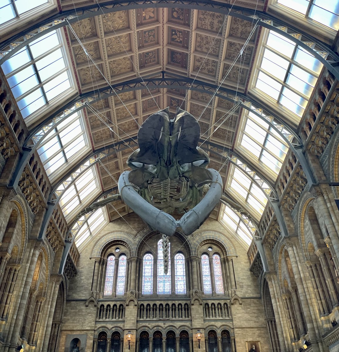 Biddenham Int School tweet media