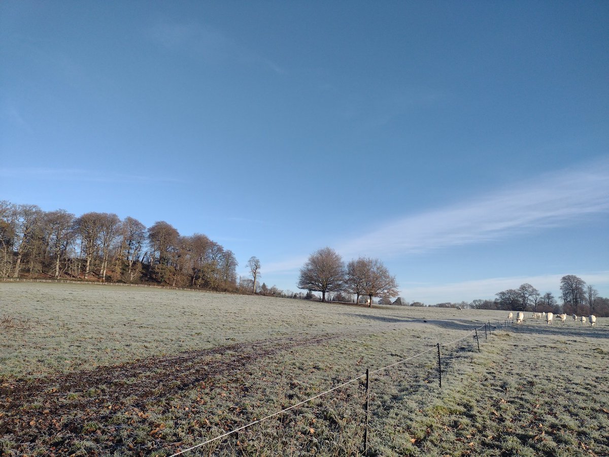 A beautiful start to the day <a href="/Dinefwr/">Dinefwr</a> Christmas Fair. #MHHSBD
