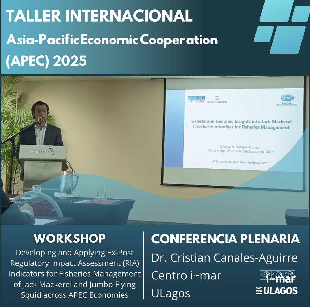 Centro i-mar tweet media