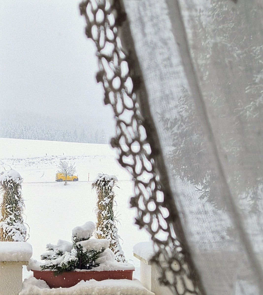 CSchmidl's tweet image. ....i seh....i seh...was du ned siehst..und das ist gelb...😁
#BlackWhite
#Winter
#Abtenau
#Farbe
#Spiel