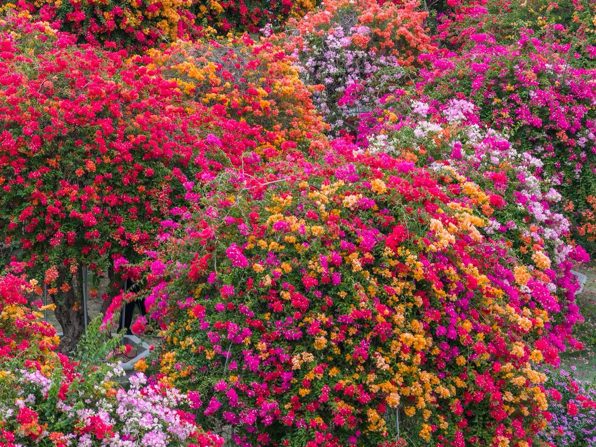 DHANAADITYAZX's tweet photo. Good wisher https://t.co/ytwNfJSNqB