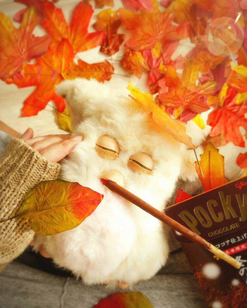 BellFurbyFamily's tweet image. とろけるポッキーの季節🍫🍁
ココア仕上げ一番好き😆

#ポッキー #Pocky #furby #furby2005 #ファービー #ファービー2005 #ファンキーファービー #funkyfurby #全ファ連 #ぬい活 #ぬい撮り #hasbro