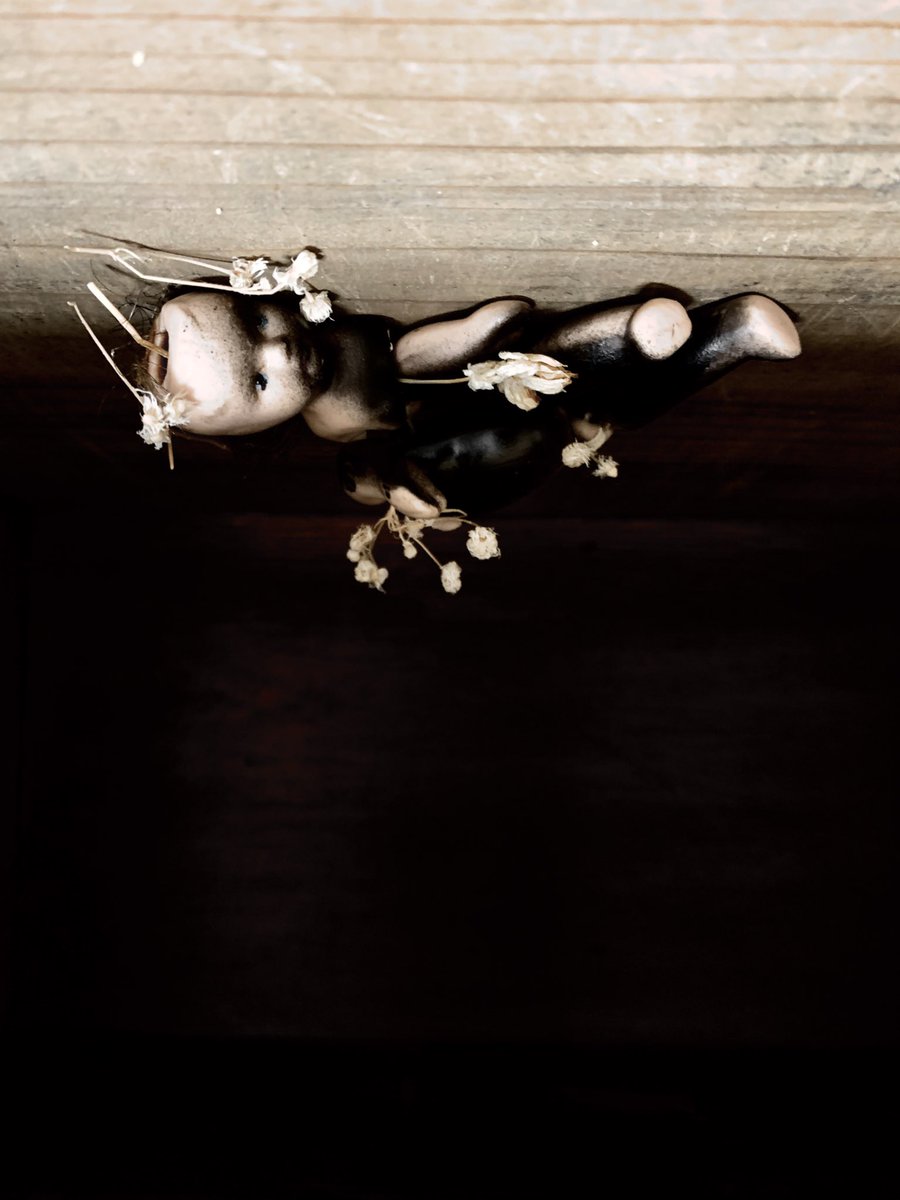 取り置き受け付けています。

令和7年11月24日(祝月) 
場所:新宿アンチノック  【40 years, AND WALK】
 冬蟲夏草は19:40演奏予定  
開場14:00/開演14:20 前売3,000円/当日3,500円(+飲料代600円)