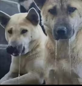 我不想努力了 tweet media