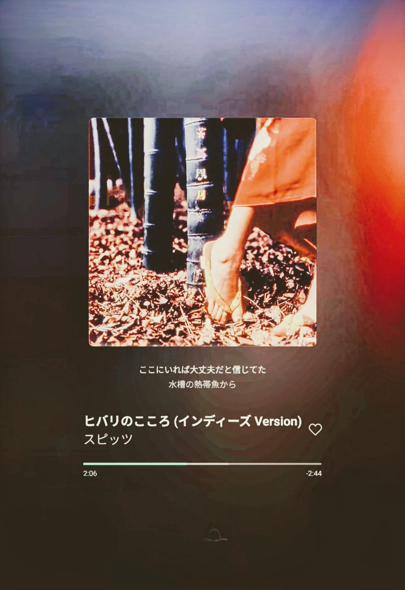 GakuO551's tweet image. 今日のお供🚶‍➡️🚶

僕らこれから強く生きていこう
行く手を阻む壁がいくつあっても
両手でしっかり君を抱きしめたい
涙がこぼれそうさ
ヒバリのこころ

#NowPlaying 
#Spitz 
#花鳥風月＋