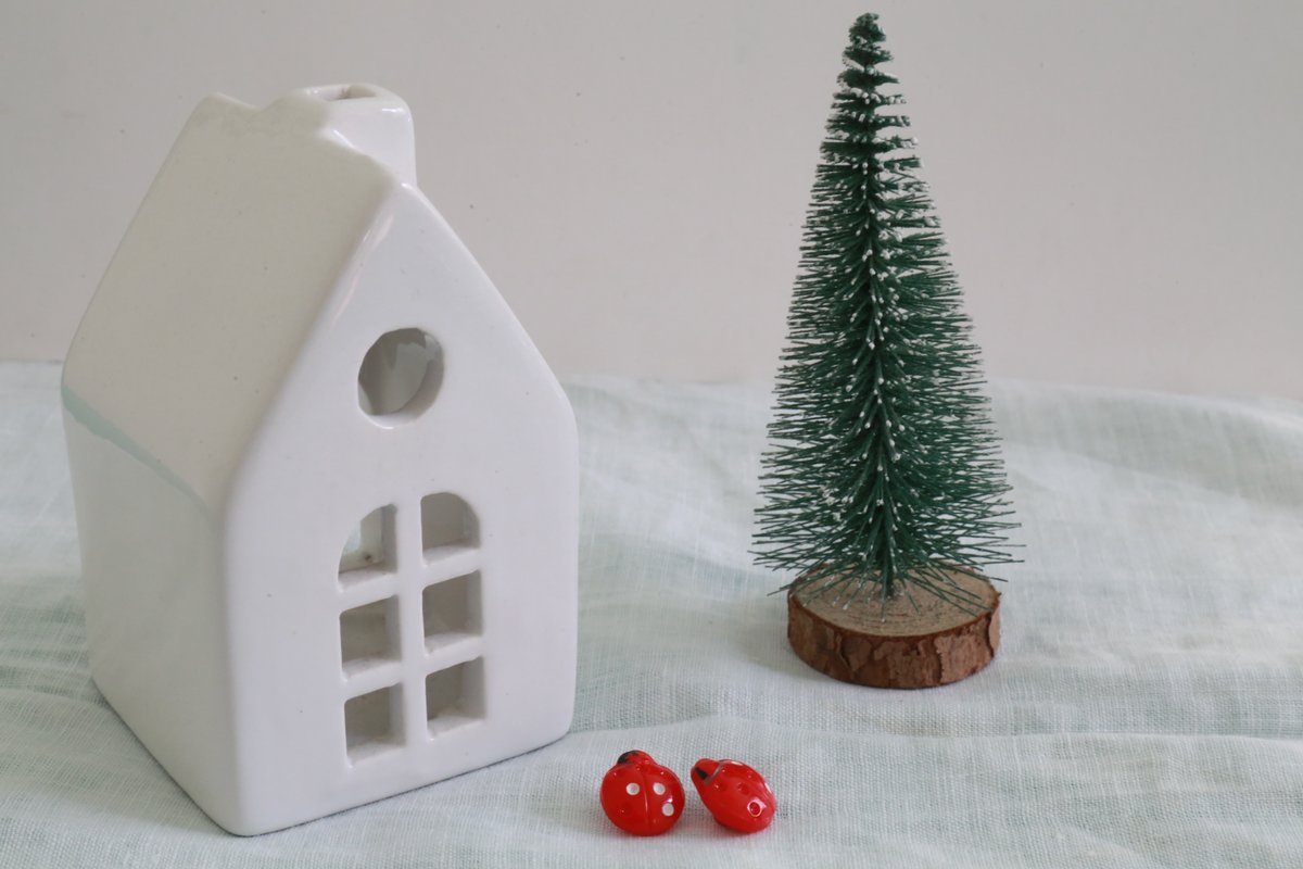 brankabutton's tweet image. The small story of...

#ladybird #glassbuttons