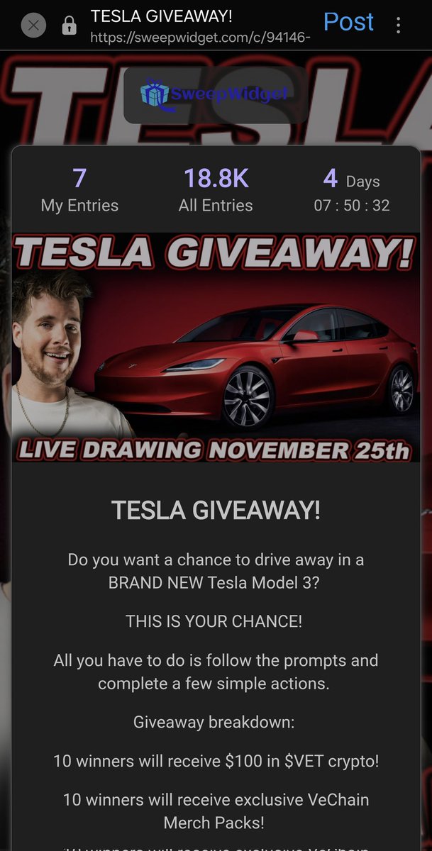 nero.vet tweet media