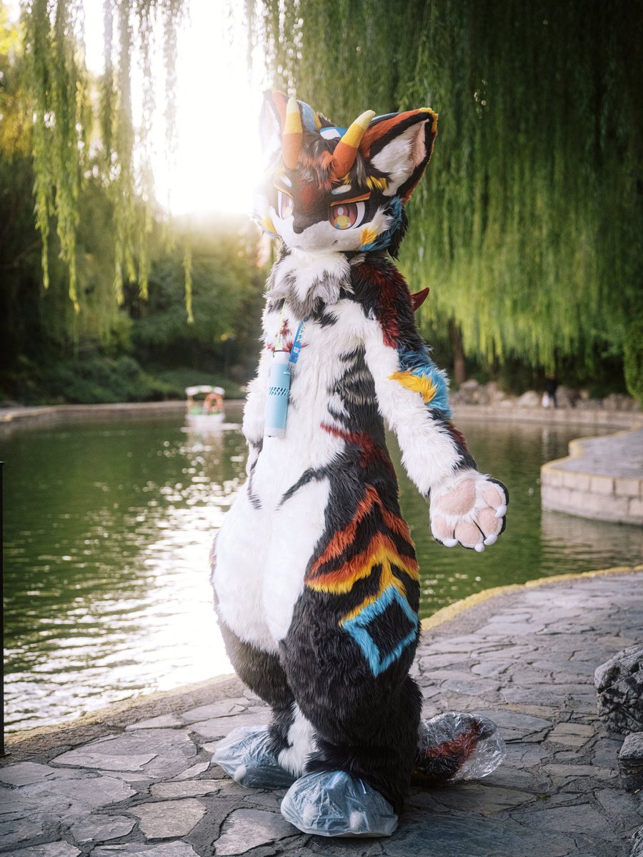 Illli_zzz's tweet image. 手。
『……可以给我吗。』
📷： @sen_618 
#FursuitFriday