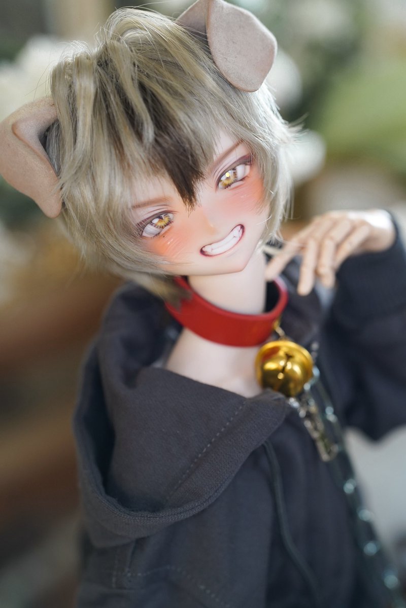 お家探し中🦴

 auctions.yahoo.co.jp/jp/auction/m12…