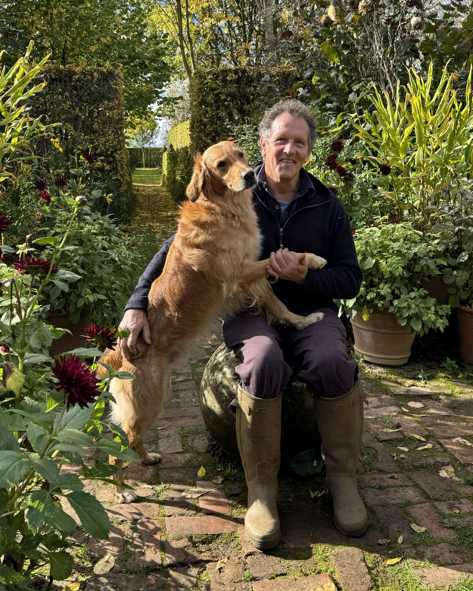 We can't wait for tonight's show. Can you? With winter fast approaching, Monty's got dahlias to lift, leafmould to make and tulips to plant in pots. It's all go! Join us at 8pm on <a href="/BBCTwo/">BBC Two</a>, 9am on Saturday or whenever you like on <a href="/BBCiPlayer/">BBC iPlayer</a> 🙂 🌷 🍂 #GardenersWorld #Gardening