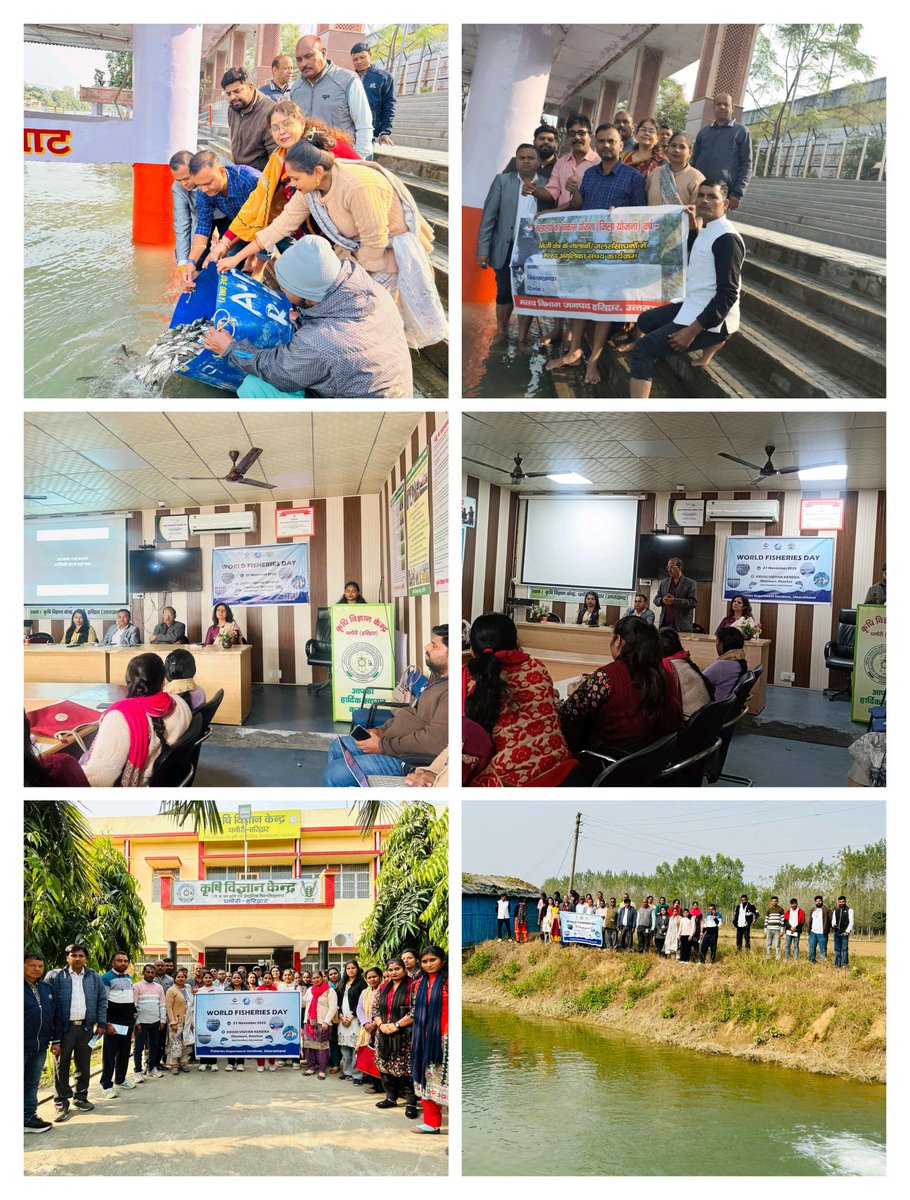 HardwarAdf's tweet photo. 21 नवम्बर 2025  विश्व मात्स्यिकी दिवस पर मत्स्य विभाग हरिद्वार द्वारा साक्षी घाट पर गंगा में मत्स्य बीज संचय कार्यक्रम आयोजित किया गया। KVK धनौरी के सहयोग से गोष्ठी में वैज्ञानिकों व अधिकारियों ने उन्नत मत्स्य योजनाओं पर जानकारी दी। NFDP व KCC हेतु आवेदन भी प्राप्त किए गए। https://t.co/QMhblXRiva