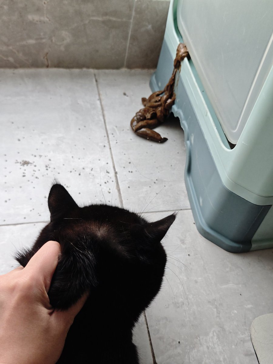 babycare🐍 tweet media