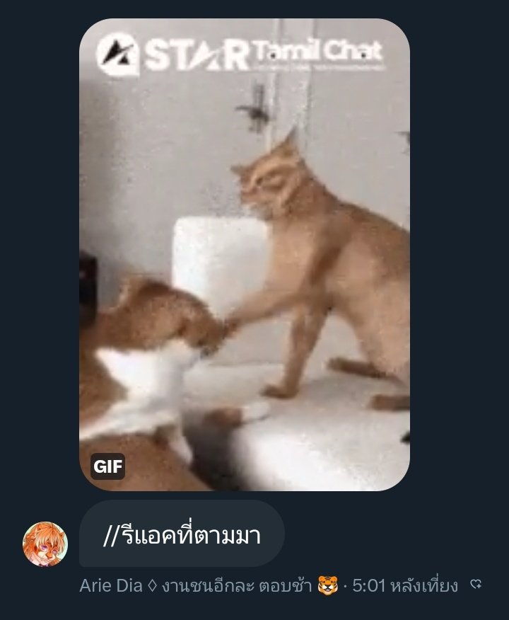 Aklaq🐻‍❄️ (ติดงาน) tweet media