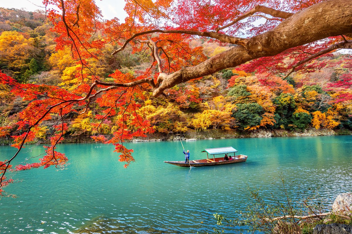 ima_suiteru's tweet photo. 【🍁嵐山・天龍寺エリア】
渡月橋〜天龍寺庭園〜竹林の道まで、全部が紅葉ルート。
午前中は人出が緩く、最高の散策日和。
川沿いの色づきも圧巻です。 https://t.co/gIDklbvooa
