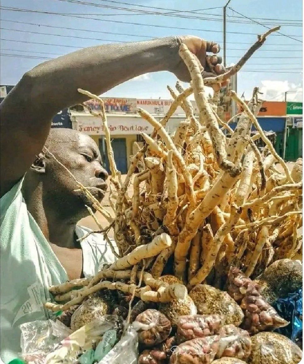 kampalasfinesst's tweet photo. Mpozi you have said she’s a musoga https://t.co/T1ZXLAo5b7
