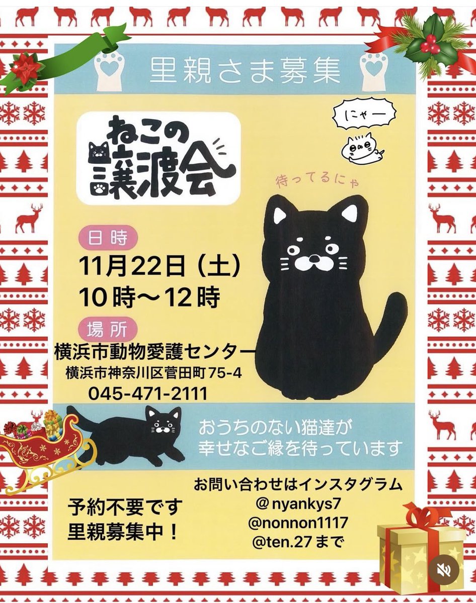 にゃん太郎 (@nyannyan__taro) / Posts / X