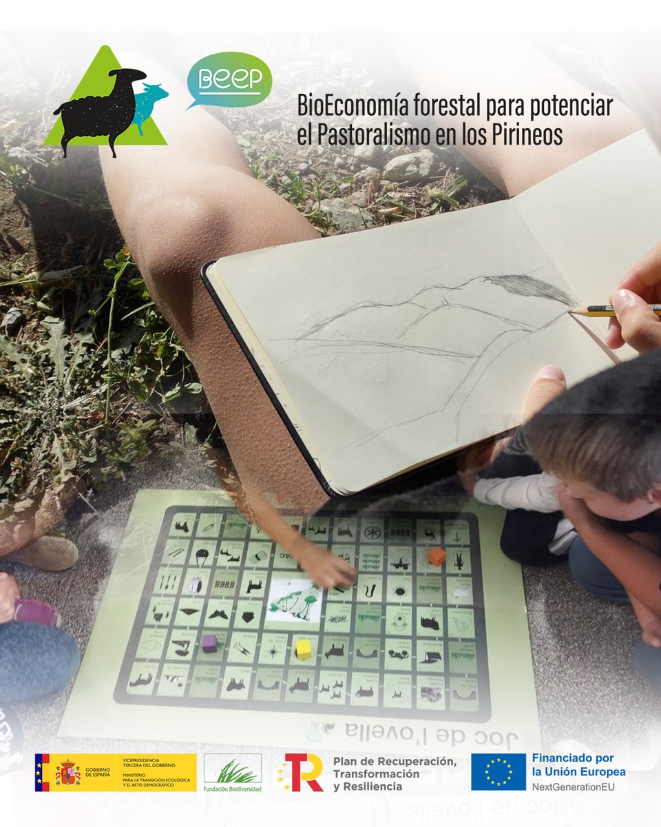ProyectoBeep's tweet photo. 🌿 Talleres de educación ambiental en el Pallars Sobirà
📅 Octubre 2025

Alumnado de Sort, Esterri d’Àneu, Ribera de Cardós y Àngel Serafí Casanoves ha descubierto el valor de la ganadería extensiva y del pastor como gestor del territorio.

Con actividades como el Joc de l’Ovella y el Joc de la sobirania alimentària, han trabajado biodiversidad, consumo responsable y el papel de los ganaderos como guardianes del medio.

📲 Más info en la sección de noticias — enlace en la bio

🌿 Tallers d’educació ambiental al Pallars Sobirà
📅 Octubre 2025

L’alumnat de Sort, Esterri d’Àneu, Ribera de Cardós i Àngel Serafí Casanoves ha descobert el valor de la ramaderia extensiva i del pastor com a gestor del territori.

Amb activitats com el Joc de l’Ovella i el Joc de la sobirania alimentària, han treballat biodiversitat, consum responsable i el paper dels ramaders com a guardians del medi.

📲 Més informació a la secció de notícies — enllaç a la bio

@FBiodiversidad 
#ProyectosPRTR #NextGenerationEU🌿 Talleres de educación ambiental en el Pallars Sobirà
📅 Octubre 2025

El alumnado de varios centros educativos del Pallars Sobirà ha participado en talleres de educación ambiental para descubrir la importancia de la ganadería extensiva y el papel del pastor como gestor del territorio.

Con actividades como el Joc de l’Ovella y el Joc de la sobirania alimentària, han trabajado biodiversidad, consumo responsable y el papel de los ganaderos como guardianes del medio.

📲 Más info — https://t.co/4GKRD9gcA0

🌿 Tallers d’educació ambiental al Pallars Sobirà
📅 Octubre 2025

L’alumnat de diversos centres educatius del Pallars Sobirà ha participat en tallers d’educació ambiental per descobrir la importància de la ramaderia extensiva i el paper del pastor com a gestor del territori.

Amb activitats com el Joc de l’Ovella i el Joc de la sobirania alimentària, han treballat biodiversitat, consum responsable i el paper dels ramaders com a guardians del medi.

📲 Més informació — https://t.co/3Pv5kPFlyV

#ProjecteBEEP #PallarsSobira #EducacioAmbiental #Bioeconomia #RamaderiaExtensiva #Sostenibilitat #Pirineus #NextGenerationEU #Paisatge #Natura #Escoles