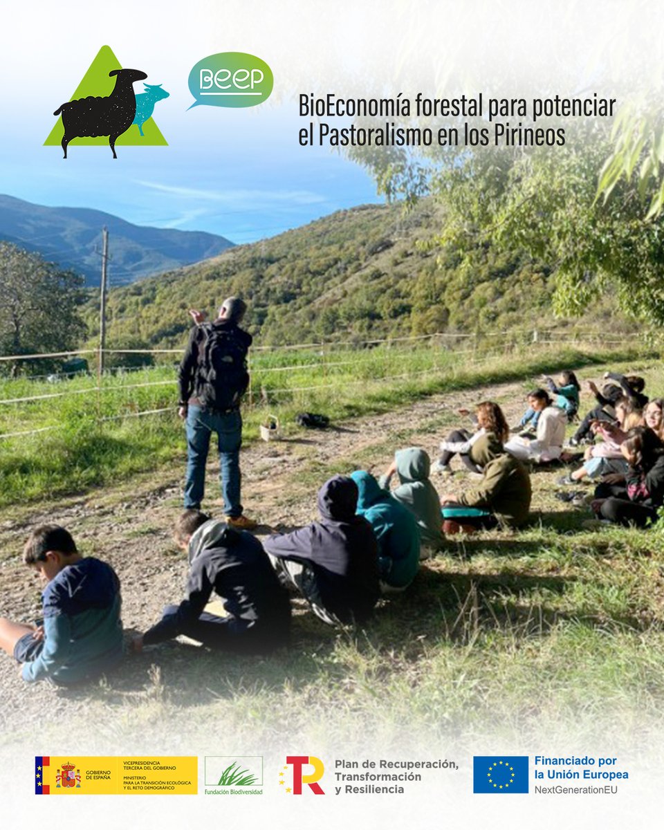 ProyectoBeep's tweet photo. 🌿 Talleres de educación ambiental en el Pallars Sobirà
📅 Octubre 2025

Alumnado de Sort, Esterri d’Àneu, Ribera de Cardós y Àngel Serafí Casanoves ha descubierto el valor de la ganadería extensiva y del pastor como gestor del territorio.

Con actividades como el Joc de l’Ovella y el Joc de la sobirania alimentària, han trabajado biodiversidad, consumo responsable y el papel de los ganaderos como guardianes del medio.

📲 Más info en la sección de noticias — enlace en la bio

🌿 Tallers d’educació ambiental al Pallars Sobirà
📅 Octubre 2025

L’alumnat de Sort, Esterri d’Àneu, Ribera de Cardós i Àngel Serafí Casanoves ha descobert el valor de la ramaderia extensiva i del pastor com a gestor del territori.

Amb activitats com el Joc de l’Ovella i el Joc de la sobirania alimentària, han treballat biodiversitat, consum responsable i el paper dels ramaders com a guardians del medi.

📲 Més informació a la secció de notícies — enllaç a la bio

@FBiodiversidad 
#ProyectosPRTR #NextGenerationEU🌿 Talleres de educación ambiental en el Pallars Sobirà
📅 Octubre 2025

El alumnado de varios centros educativos del Pallars Sobirà ha participado en talleres de educación ambiental para descubrir la importancia de la ganadería extensiva y el papel del pastor como gestor del territorio.

Con actividades como el Joc de l’Ovella y el Joc de la sobirania alimentària, han trabajado biodiversidad, consumo responsable y el papel de los ganaderos como guardianes del medio.

📲 Más info — https://t.co/4GKRD9gcA0

🌿 Tallers d’educació ambiental al Pallars Sobirà
📅 Octubre 2025

L’alumnat de diversos centres educatius del Pallars Sobirà ha participat en tallers d’educació ambiental per descobrir la importància de la ramaderia extensiva i el paper del pastor com a gestor del territori.

Amb activitats com el Joc de l’Ovella i el Joc de la sobirania alimentària, han treballat biodiversitat, consum responsable i el paper dels ramaders com a guardians del medi.

📲 Més informació — https://t.co/3Pv5kPFlyV

#ProjecteBEEP #PallarsSobira #EducacioAmbiental #Bioeconomia #RamaderiaExtensiva #Sostenibilitat #Pirineus #NextGenerationEU #Paisatge #Natura #Escoles