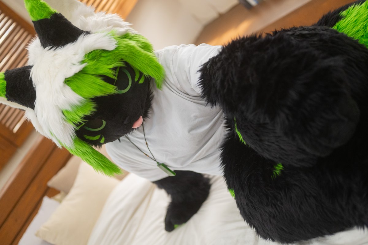 fursuit_cheol's tweet image. 🛏️🛏️🛏️🛏️🛏️🛏️🛏️🛏️🛏️🛏️🛏️💚💚💚💚💚💚💚💚💚

#Fursuitfriday #Fursuit