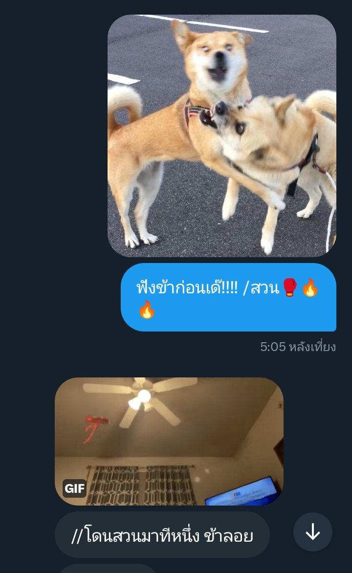 Aklaq🐻‍❄️ (ติดงาน) tweet media