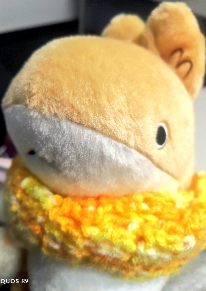 IDEAMASTER10's tweet image. うさめさん特集。
こうして見ていると、うさめちゃんのおかあさんが、うさめちゃんが旅立つ時ポロポロ泣いてたけど、分かるよ〜
(´；ω；｀)
こんなにかわいい良い子、心配で心配でかわいくて手放せないよ〜😢
#おでかけ子ザメ
#うさめちゃん