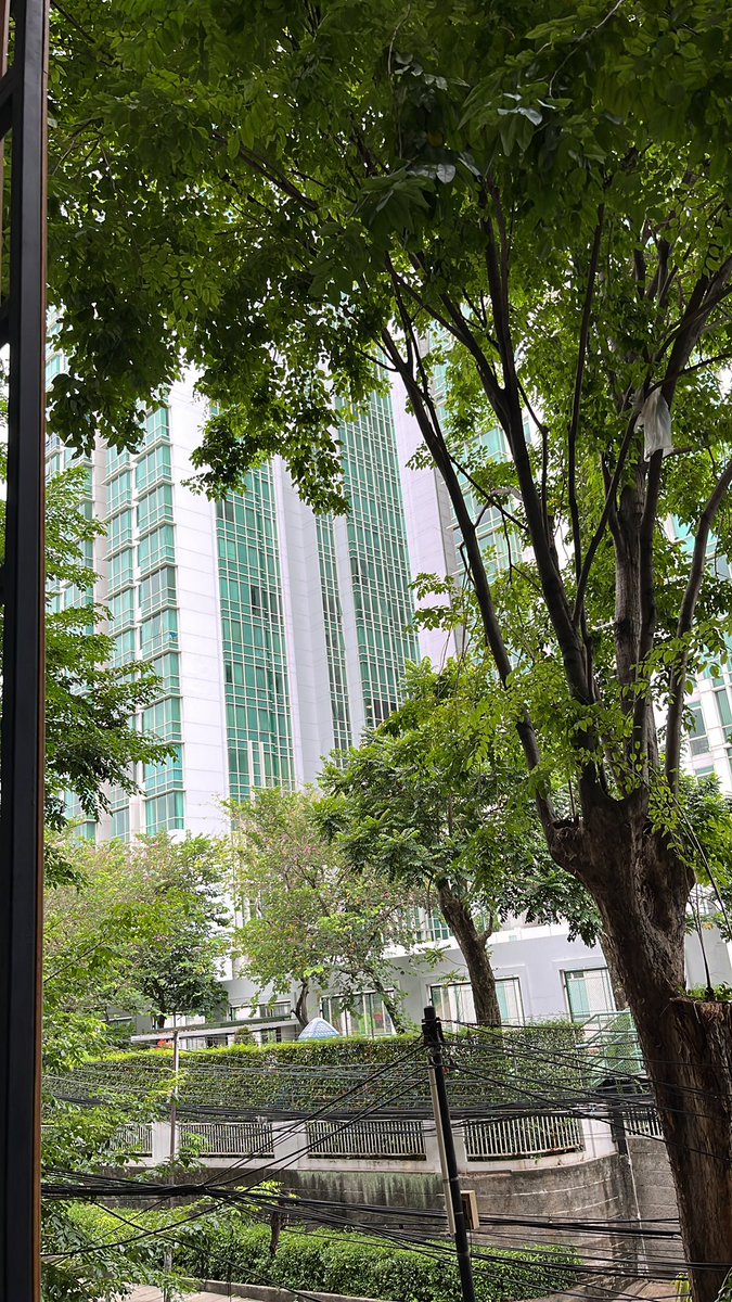 Jekardah, please be nice with me yaaa🙇‍♀️