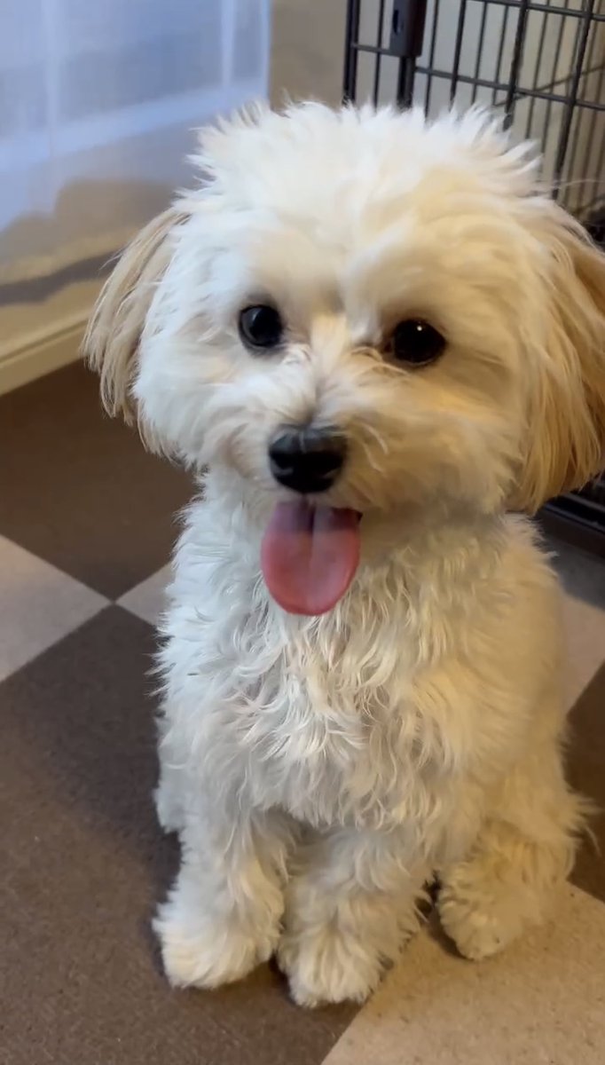 むぎ (@mugix0505) / Posts / X