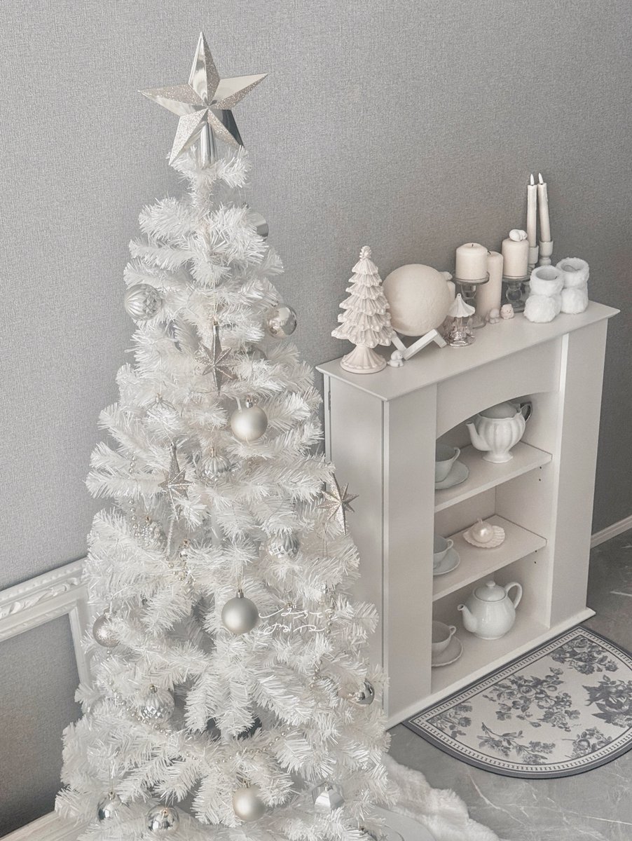 ま*️様 ☘️ラスト3株☘️❤️根っこ充実株❤️新芽成長中元気株❤️113【⭐️ ㅤ