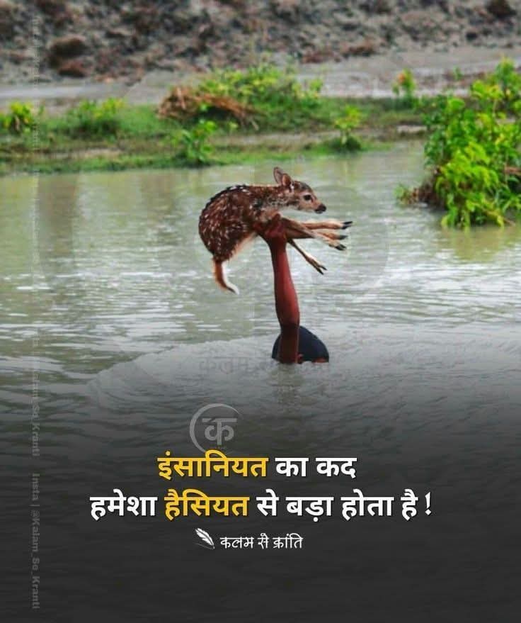 ashishky97's tweet image. इंसानियत का क़द 
हमेशा हैसियत से बड़ा होता है ...
#ashishkumar