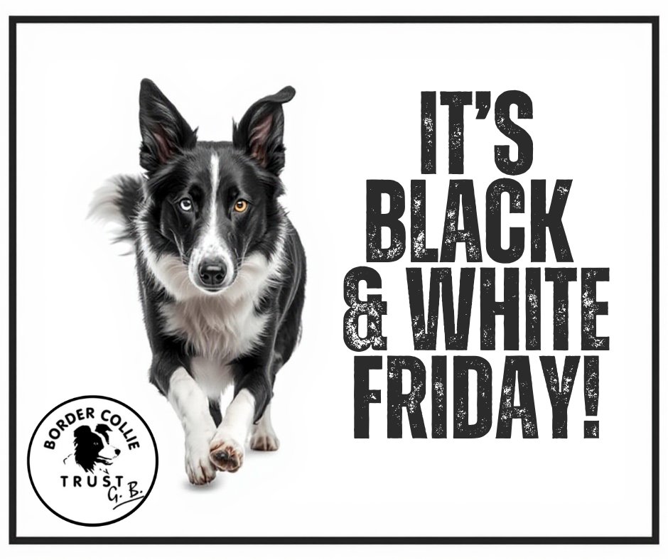BCTGB's tweet photo. 📷📷 Black &amp; White Friday is here! 📷📷
To celebrate, we’re offering FREE delivery on ALL orders from our shop — this Friday only!
📷 Offer valid today only. Don’t miss out!
Happy Black &amp; White Friday! 📷📷📷
https://t.co/UgjLmRnhHn https://t.co/H7NkGza6uG