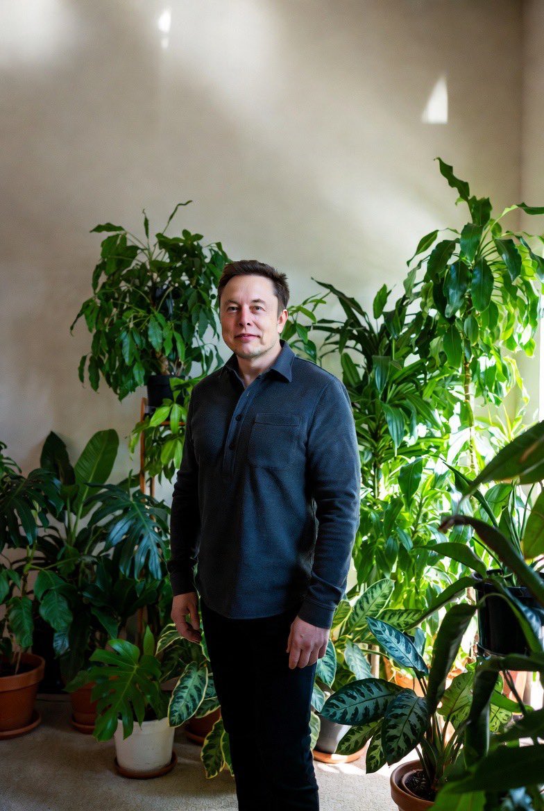 reevemspacemusk's tweet image. How many houseplants have you killed in your life?

Be Honest!