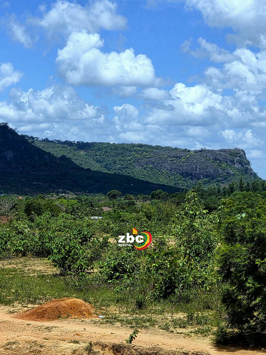 ZBCtv's tweet image. Scenes from Hauna, the venue for the 3rd edition of the Net one Albun Honde Valley Marathon.

#ZBCDigital #ZBCtv #NetoneAlbunHondeValleyMarathon