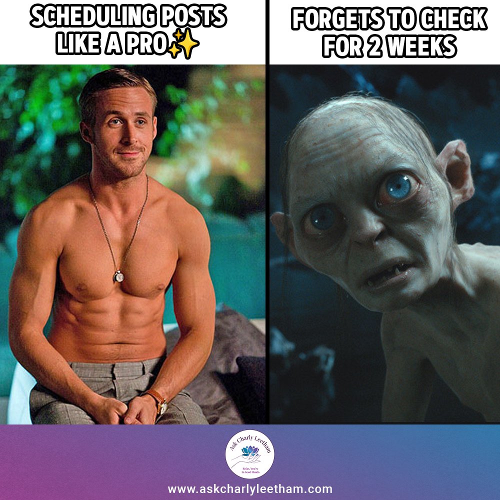 yourbizmgr's tweet image. You scheduled a month of posts then forgot to check them for 2 weeks 💀

RT if you&apos;ve done this

#AskCharlyLeetham #SmallBusinessTech