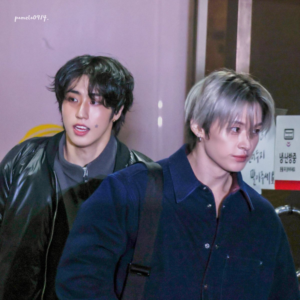 pomelo0914. tweet media