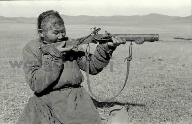 Энэхүү явдал 70-аад онд болсон гэдэг.  Дархан цаазтай газрын янгирын сүргүүд төл цөөтэй, өсөлт муутай болчихож. Эрдэмтэд учрыг нь олдоггүй гэнэ. Гэтэл нэгэн анчин хөгшин хамгийн данагар, хамгийн том тэхнүүдийг нь агнаж, бөөн дуулиан тарьж. Хулгайн ан хийлээ гээд хашир анчинд ял