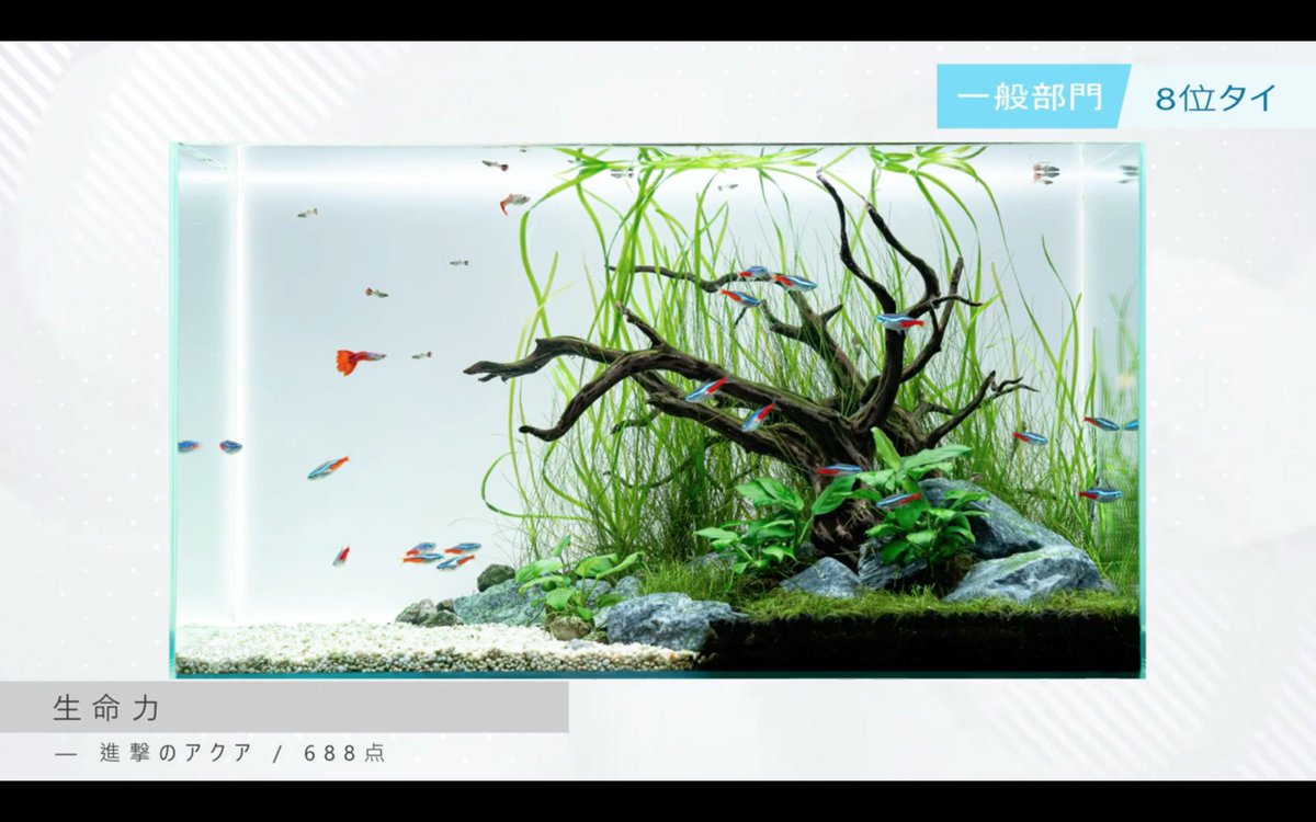 shingeki_aqua's tweet image. 8位！
#GEX
#GALC
#GEXアクアレイアウトカーニバル